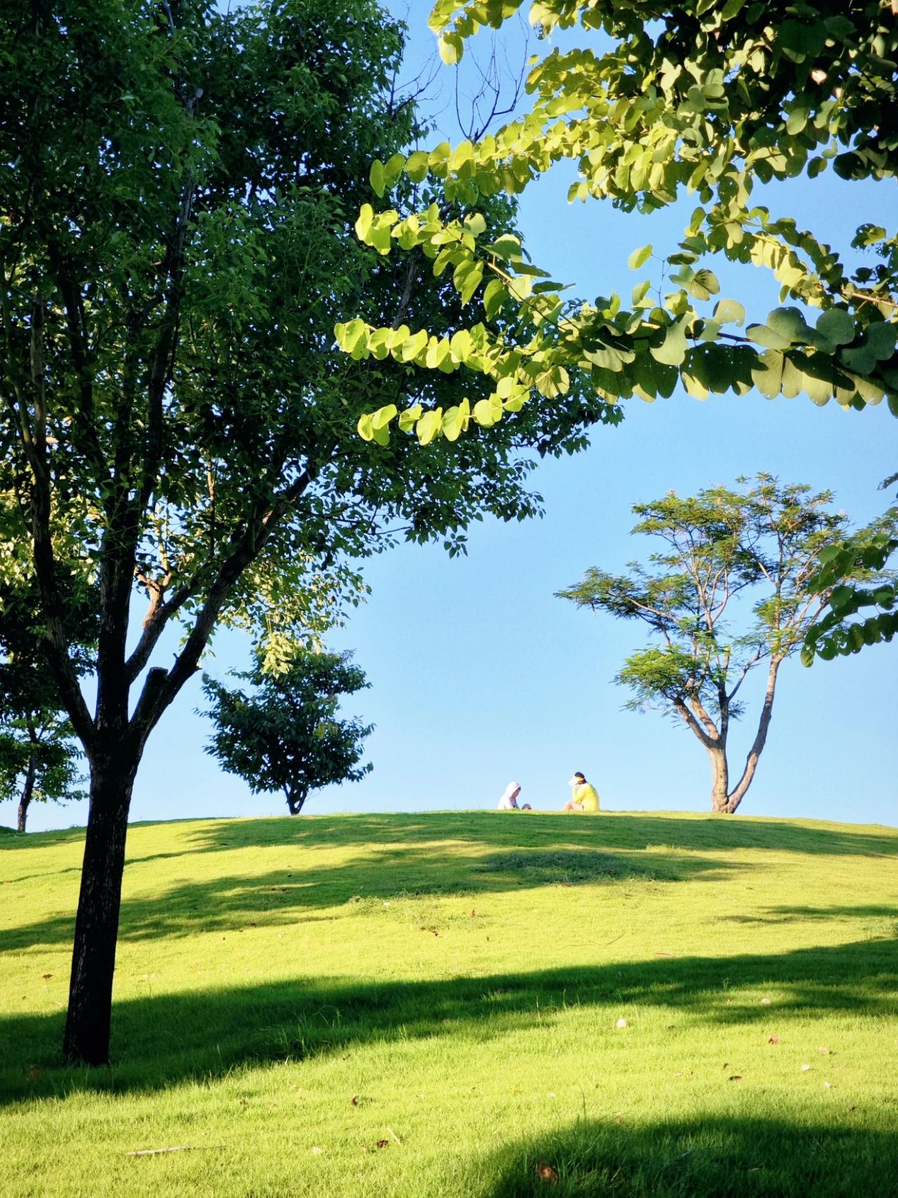 Out-of-Picture Snapshots of Guiwan Park in Qianhai