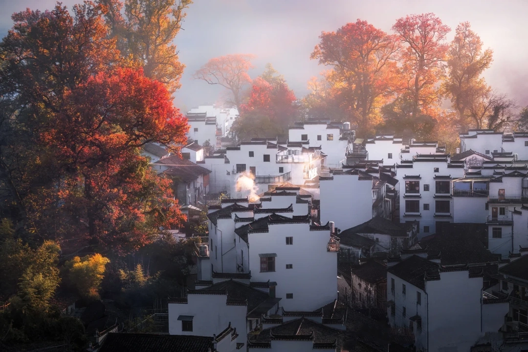 China Autumn Ceiling Appreciation