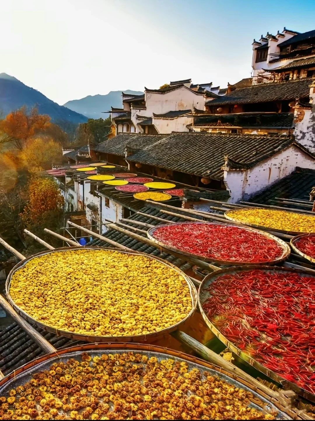 China Autumn Ceiling Appreciation