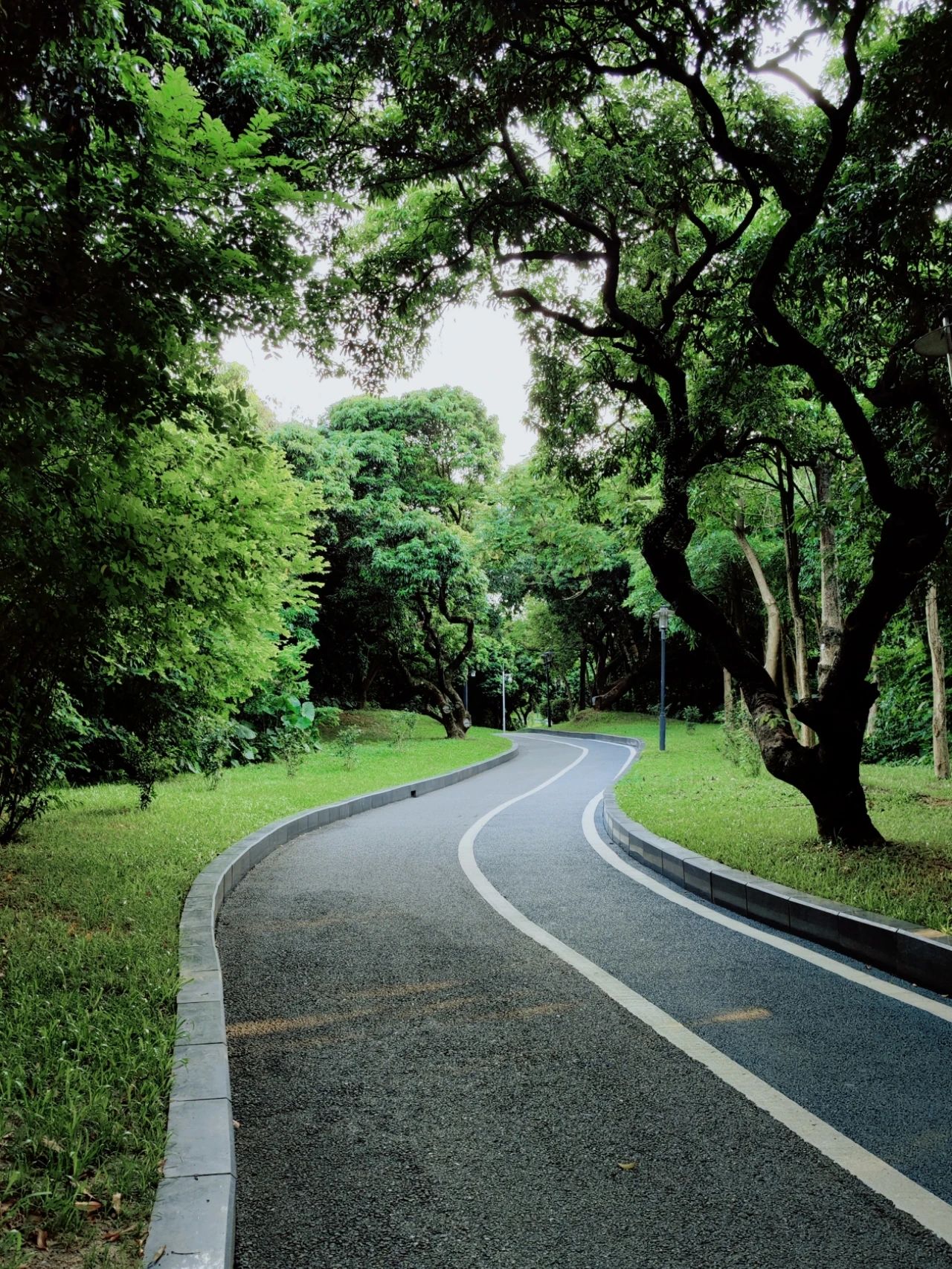 ShenZhen Zhongshan Park