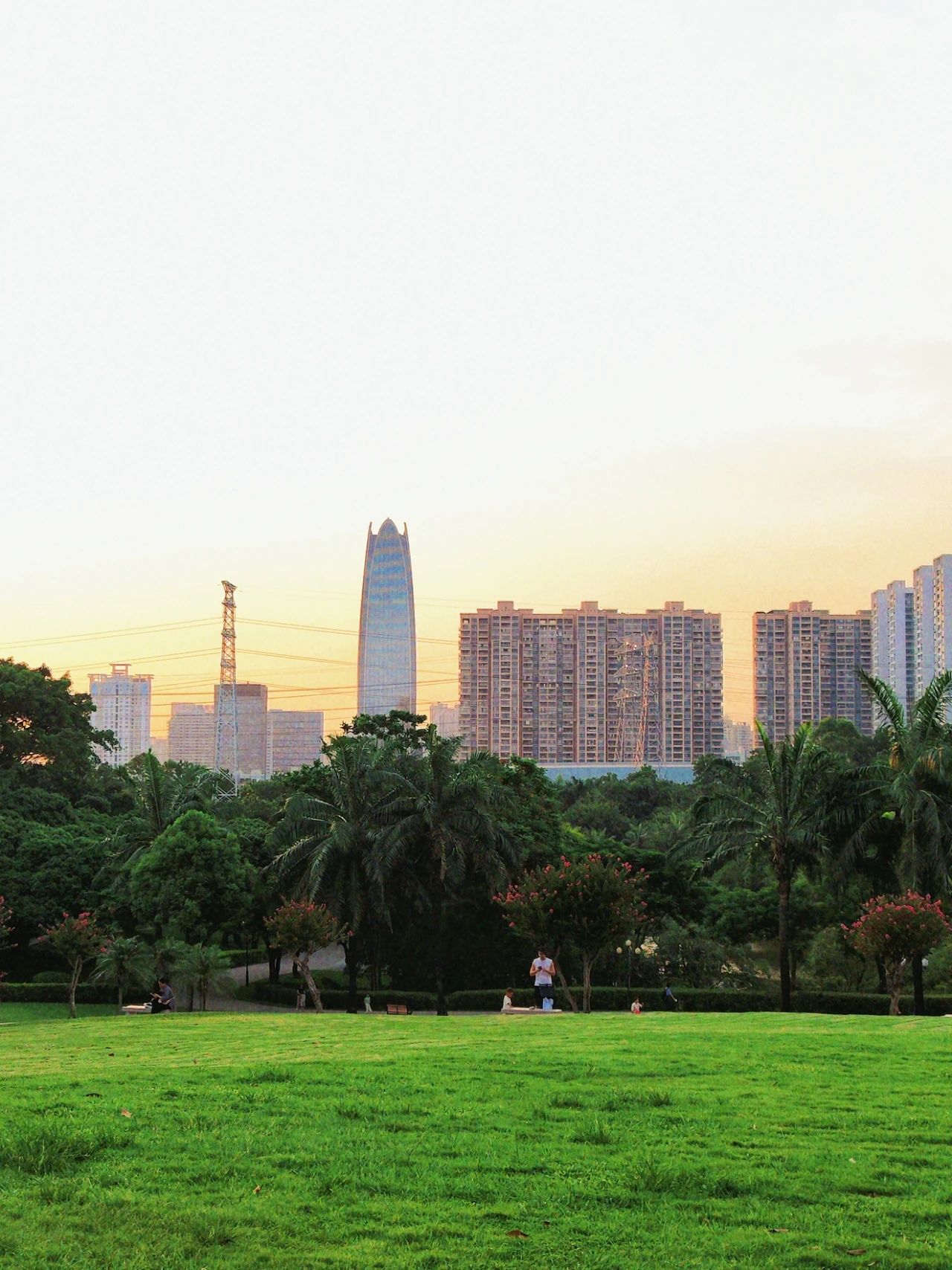 ShenZhen Zhongshan Park