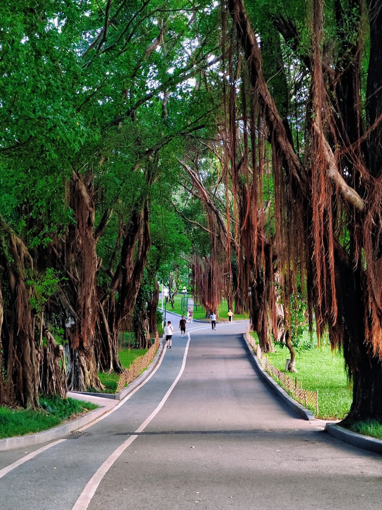 ShenZhen Zhongshan Park