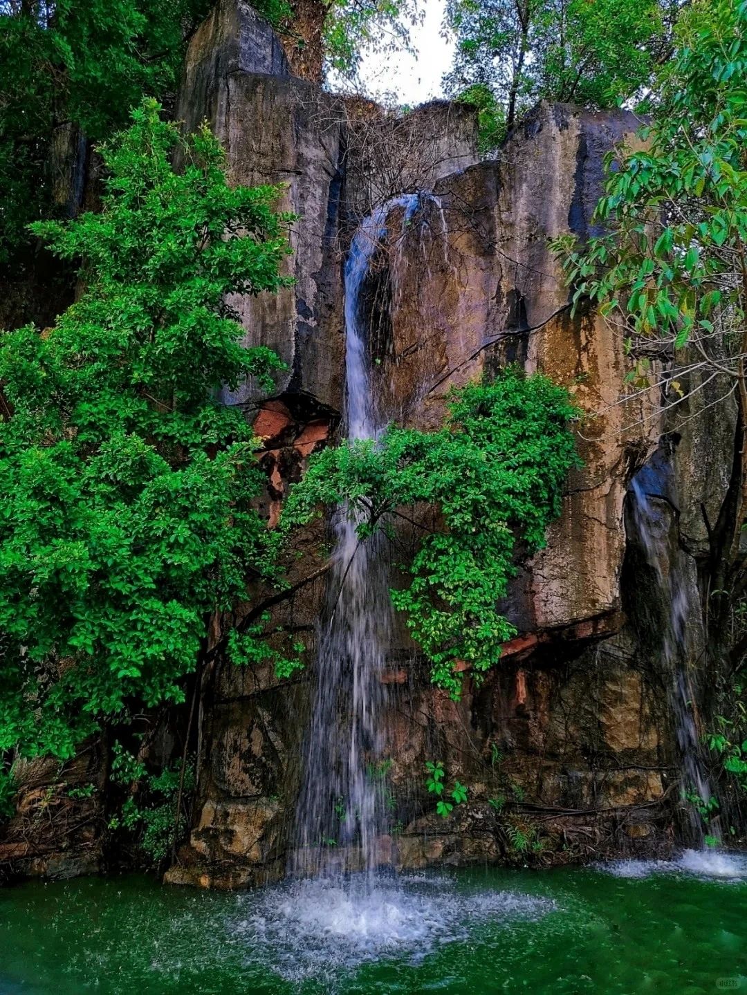 ShenZhen Zhongshan Park