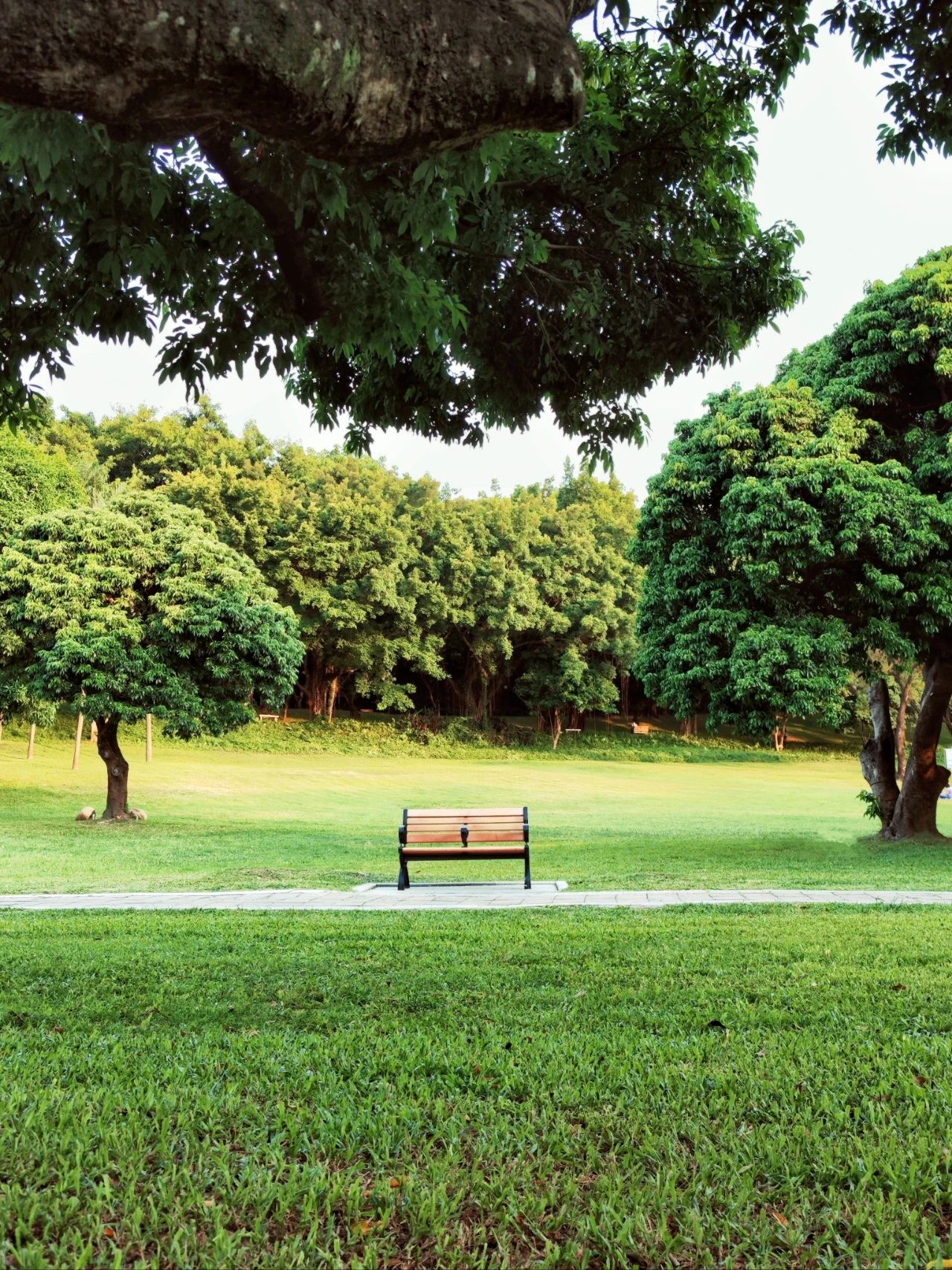 ShenZhen Zhongshan Park