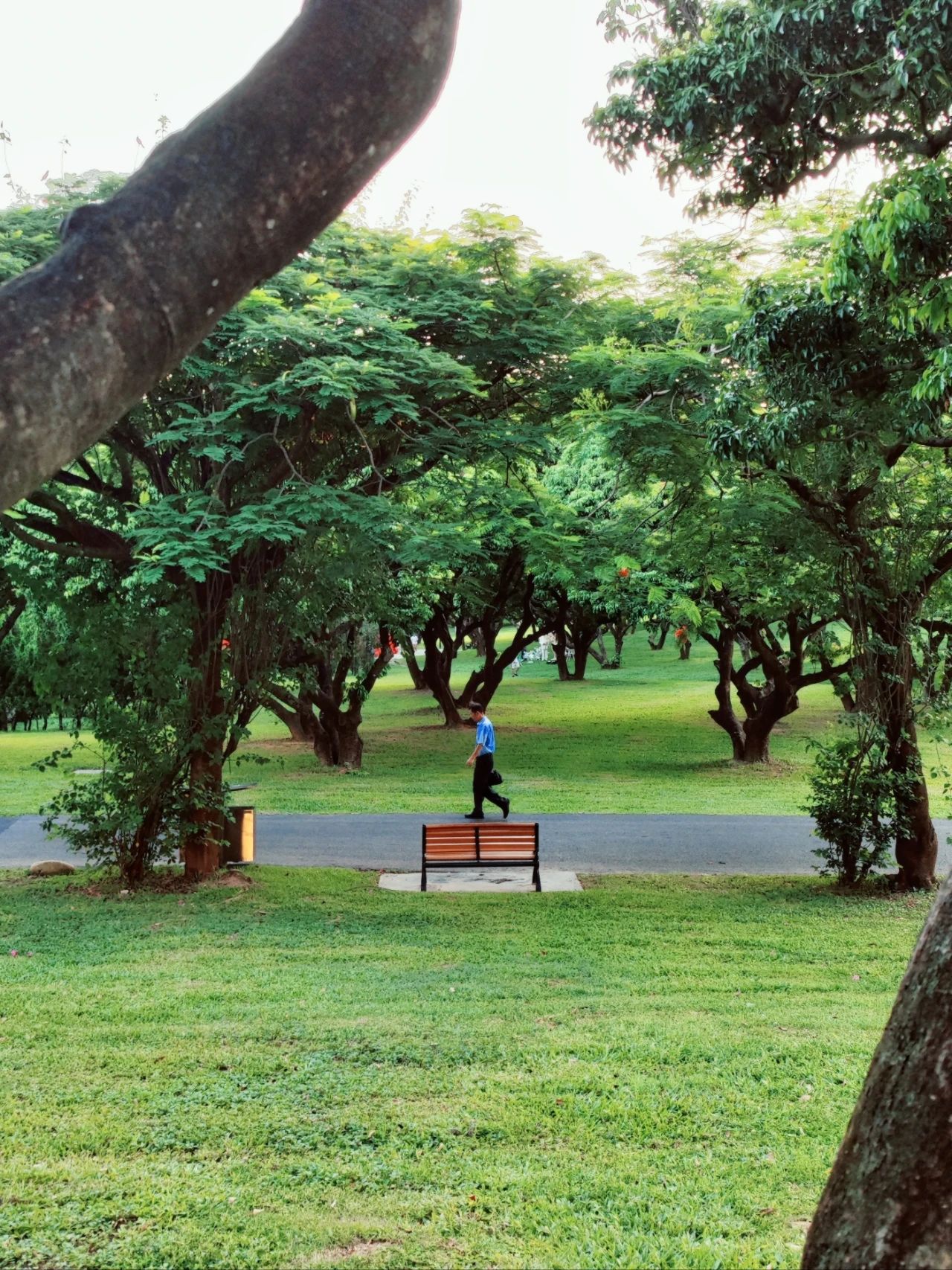 ShenZhen Zhongshan Park