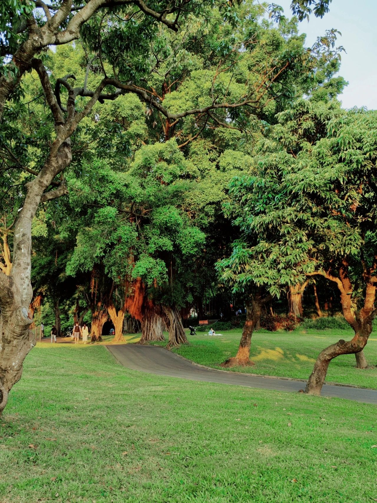 ShenZhen Zhongshan Park