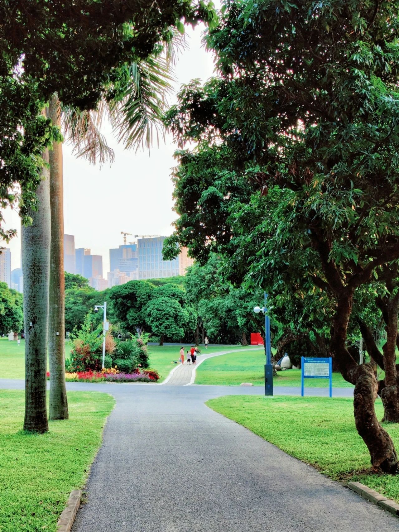 ShenZhen Zhongshan Park