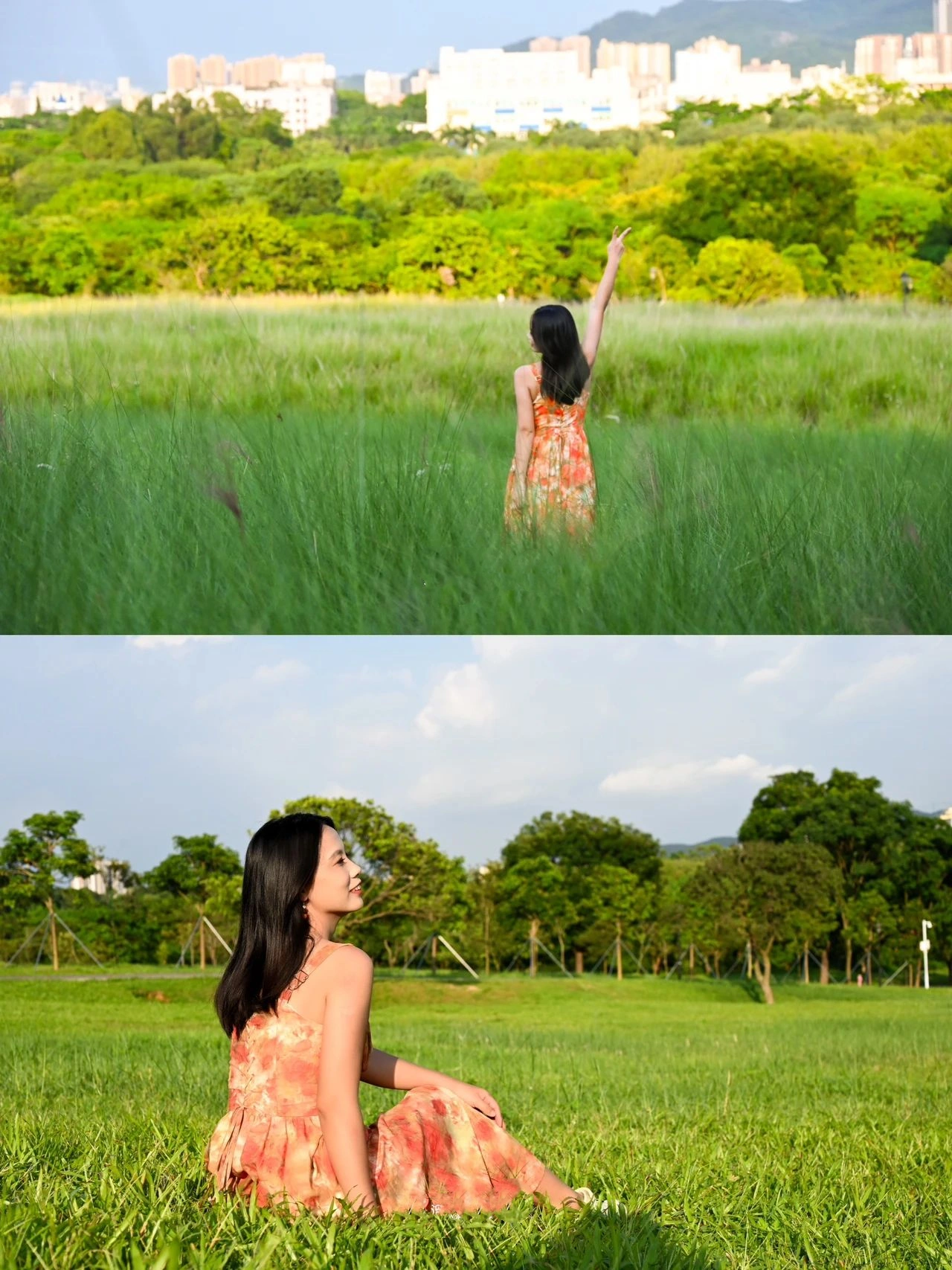 Strange Flowers Park, the most beautiful grass in Shenzhen