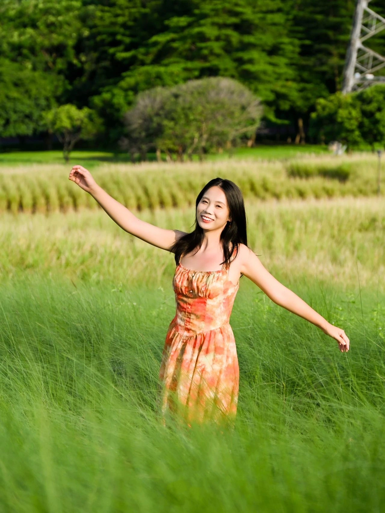 Strange Flowers Park, the most beautiful grass in Shenzhen