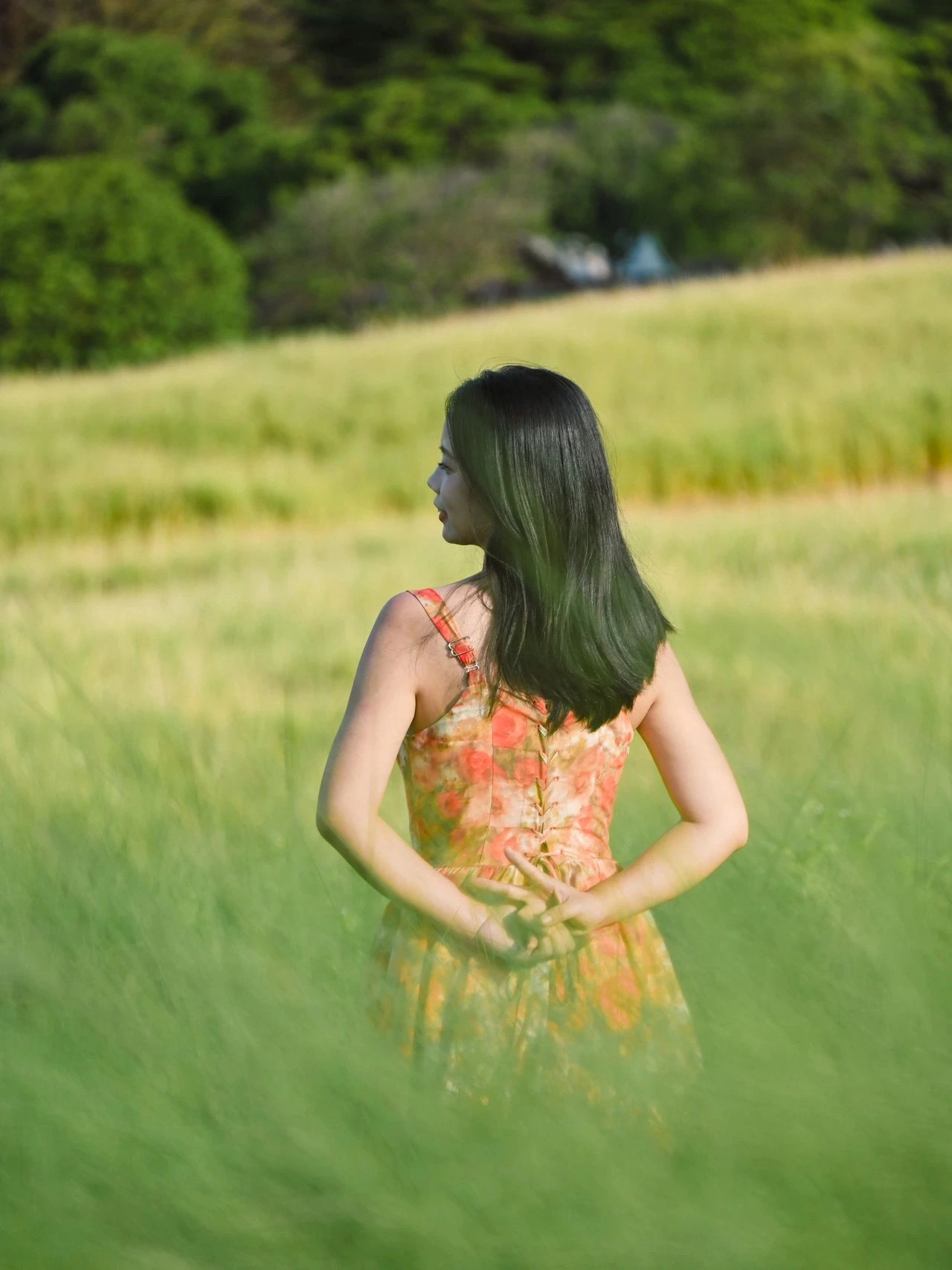 Strange Flowers Park, the most beautiful grass in Shenzhen