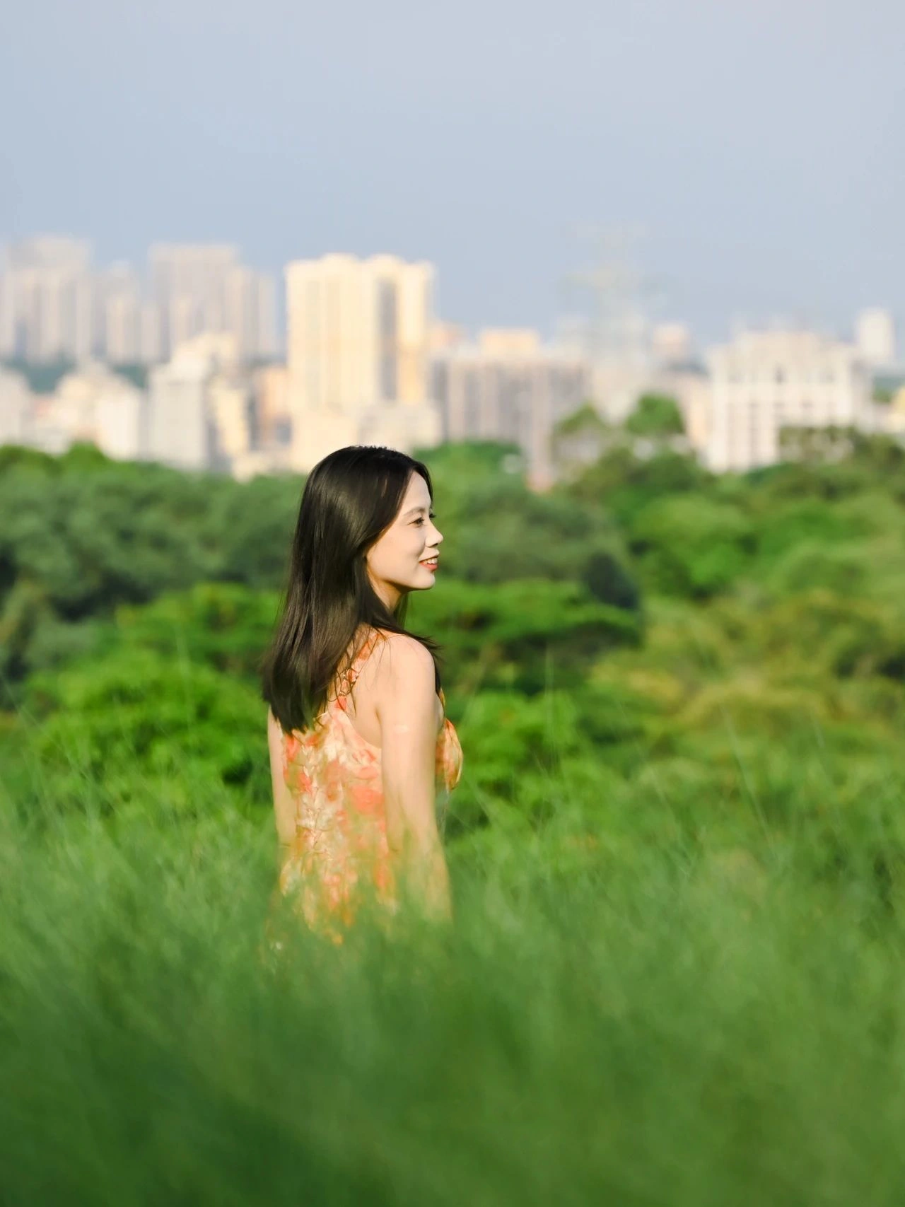 Strange Flowers Park, the most beautiful grass in Shenzhen