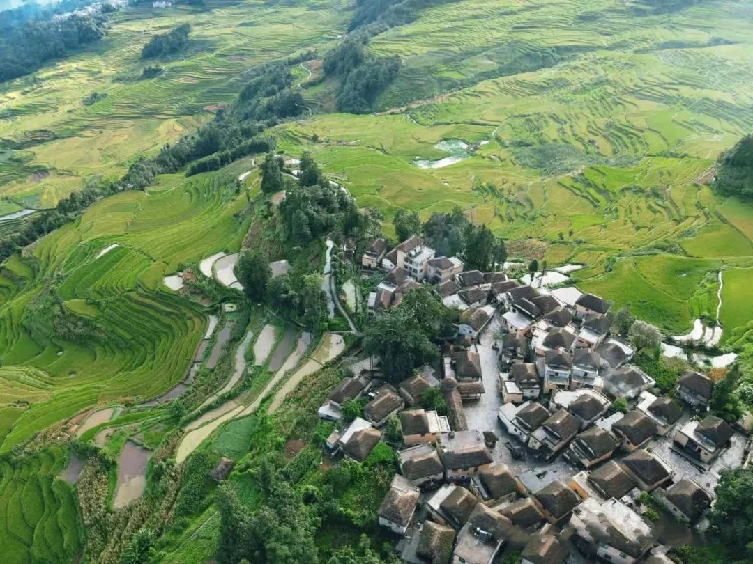 Honghe Hani Terraced Fields