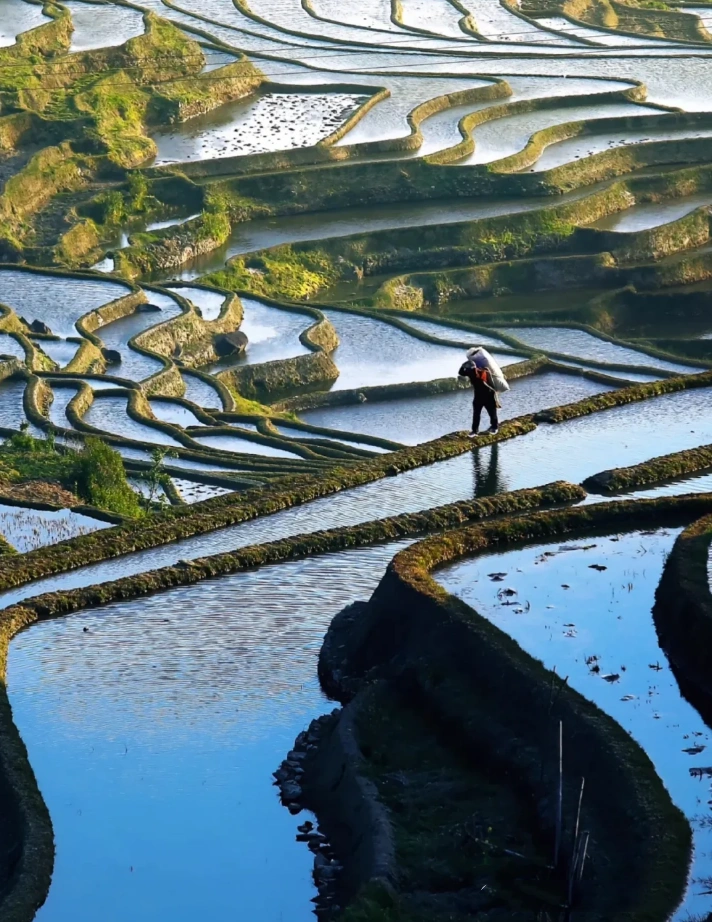 Honghe Hani Terraced Fields