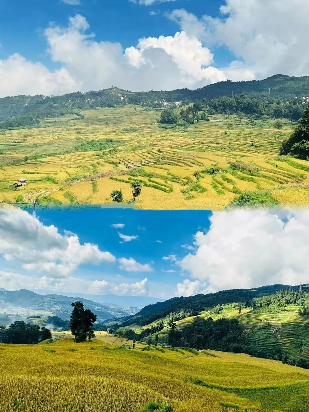 Honghe Hani Terraced Fields