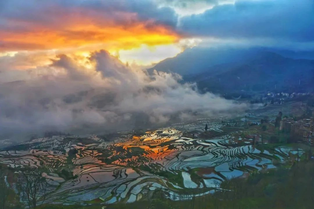 Honghe Hani Terraced Fields