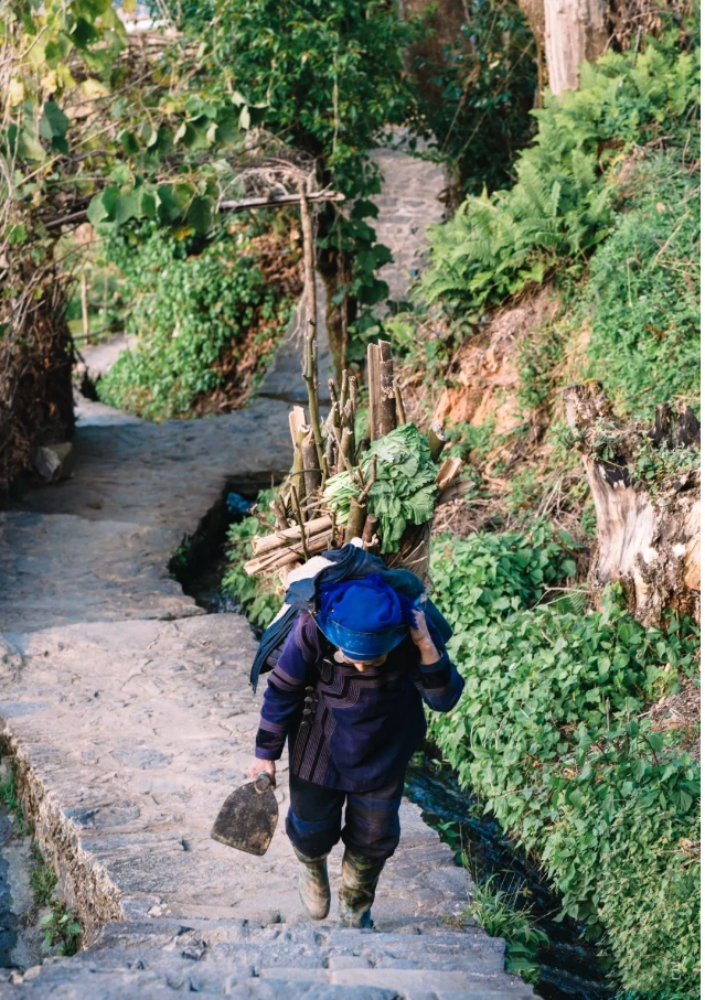 Honghe Hani Terraced Fields