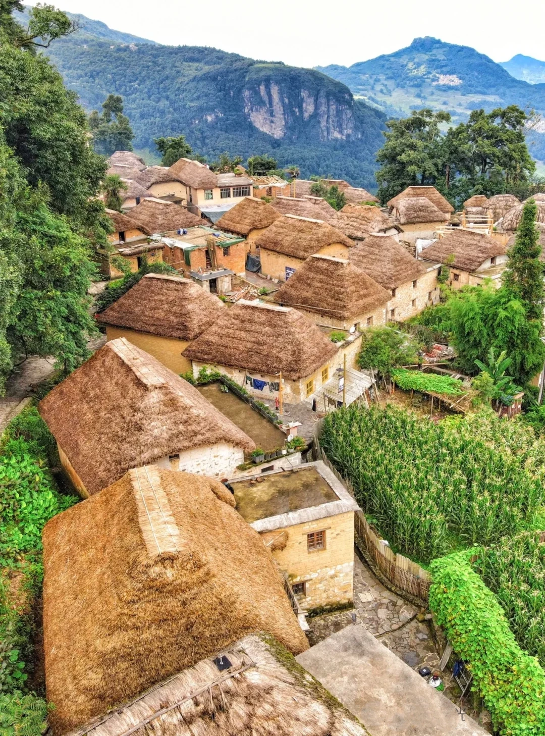 Honghe Hani Terraced Fields