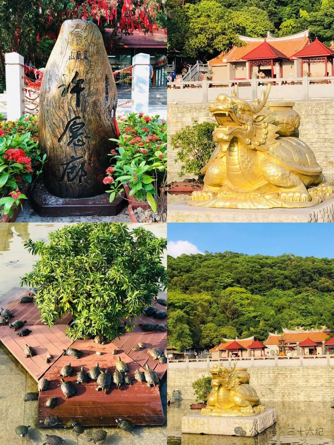 the most spiritual temple of marriage in Shenzhen