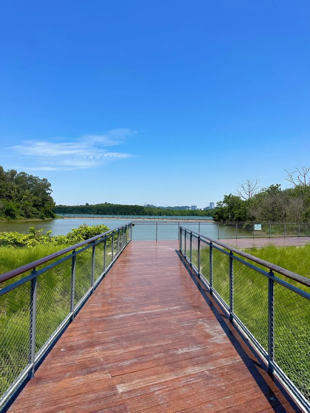 Xili Lake Greenway, The most worthwhile short greenway in summer