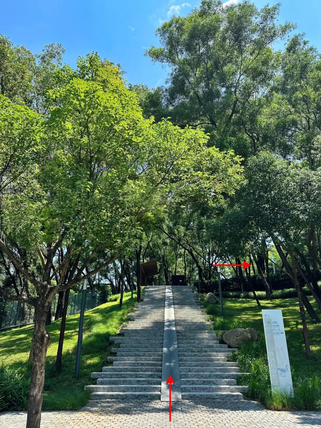 Xili Lake Greenway, The most worthwhile short greenway in summer