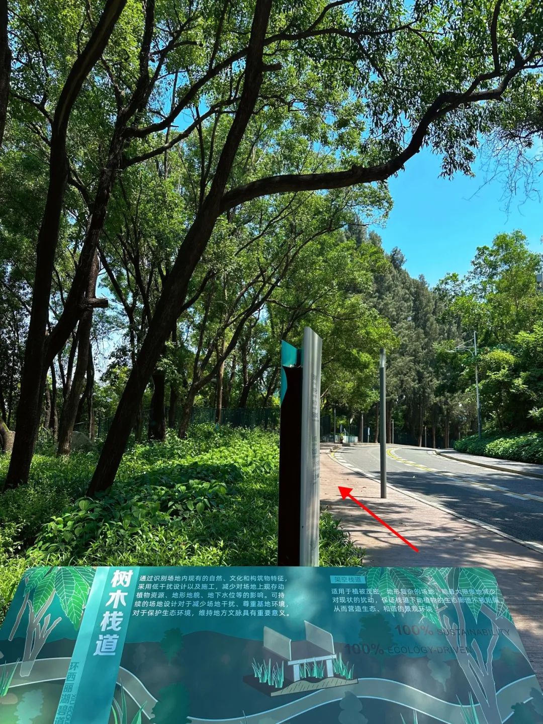 Xili Lake Greenway, The most worthwhile short greenway in summer