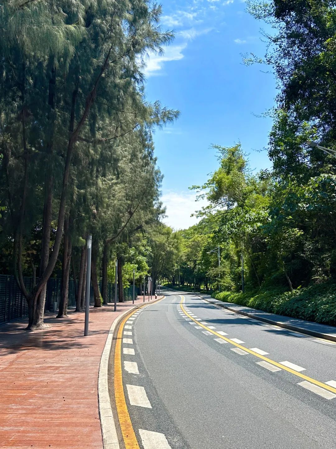 Xili Lake Greenway, The most worthwhile short greenway in summer