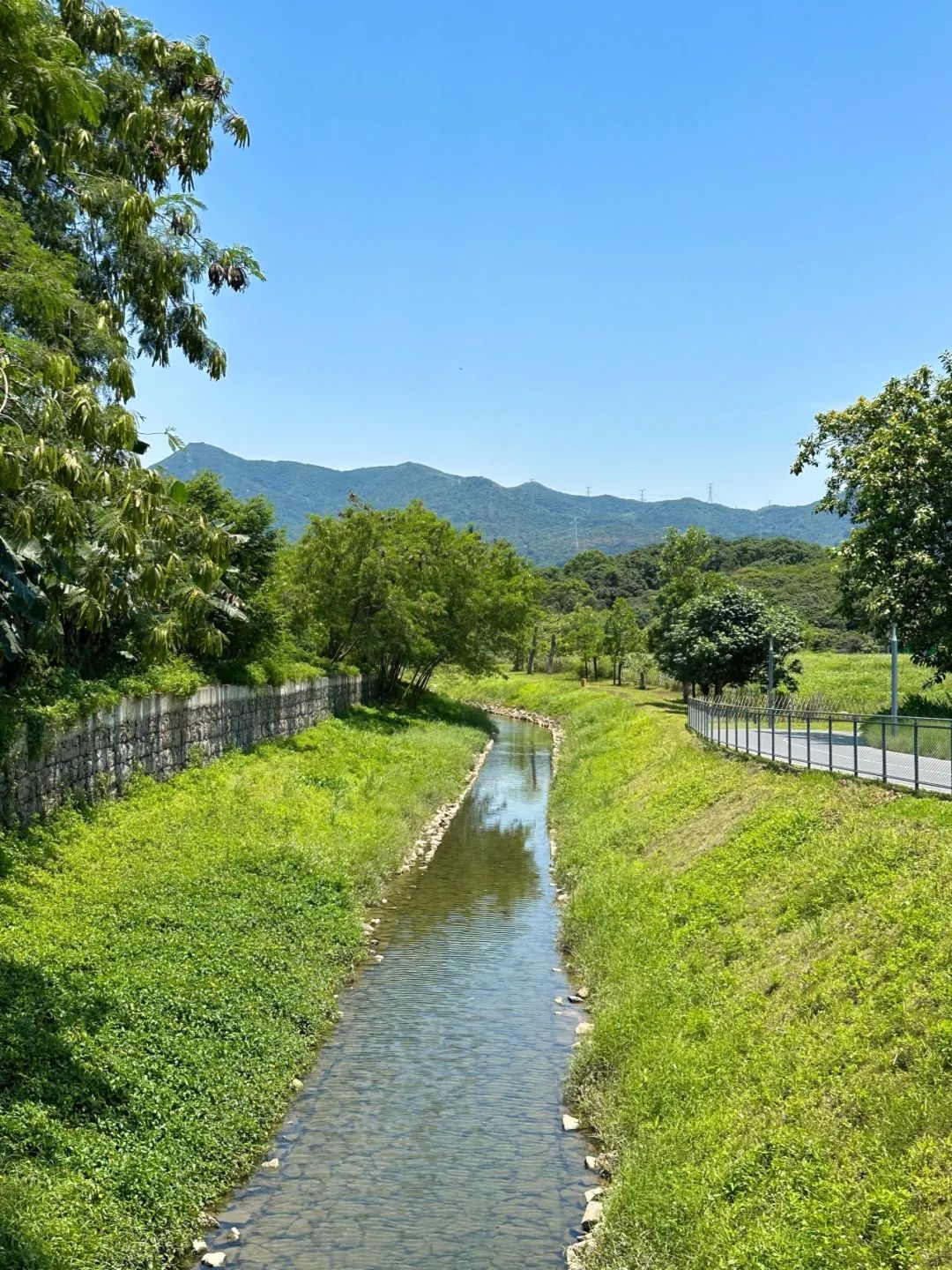 Xili Lake Greenway, The most worthwhile short greenway in summer