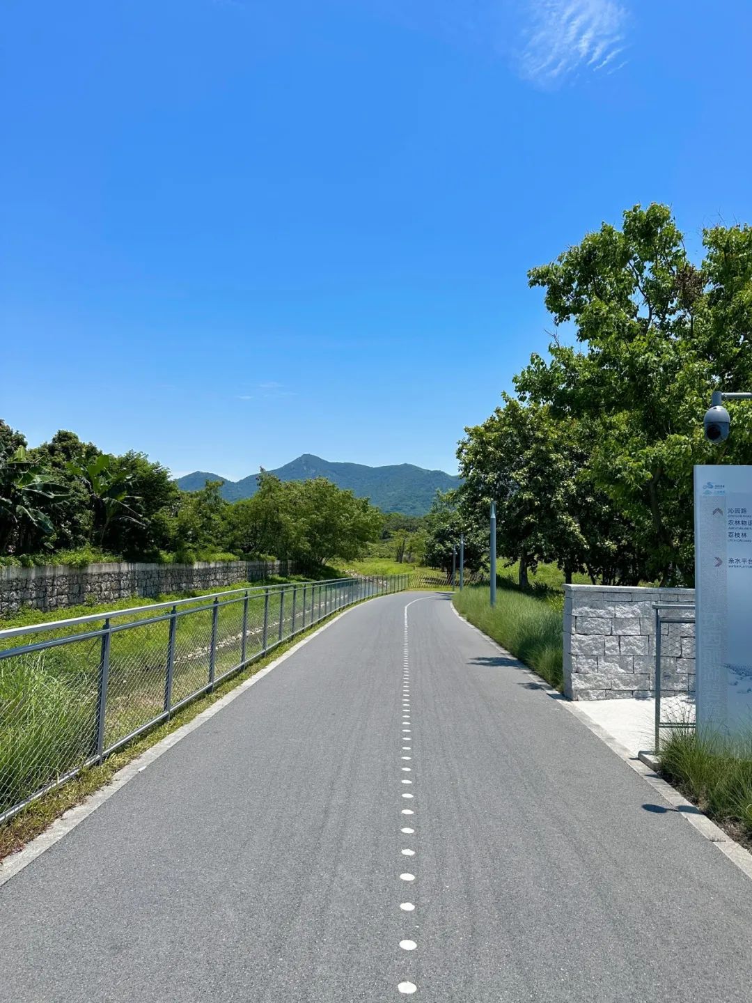 Xili Lake Greenway, The most worthwhile short greenway in summer