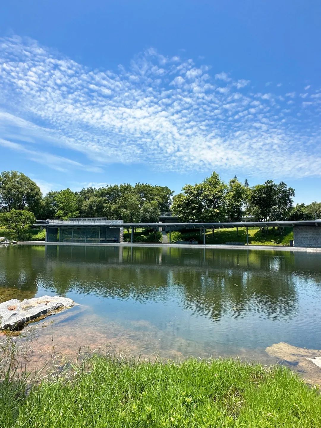 Xili Lake Greenway, The most worthwhile short greenway in summer