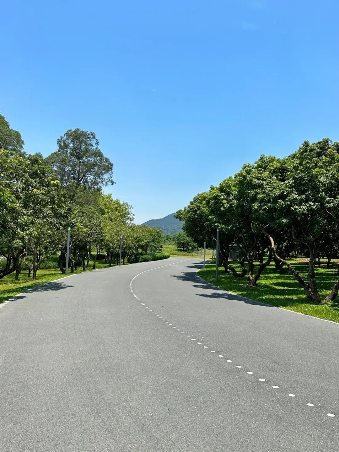 Xili Lake Greenway, The most worthwhile short greenway in summer