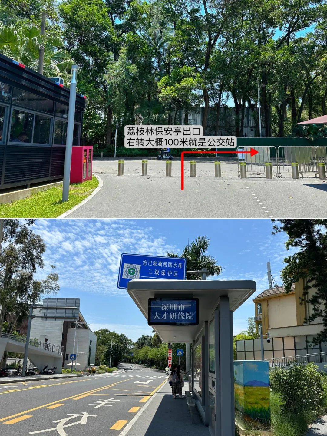 Xili Lake Greenway, The most worthwhile short greenway in summer