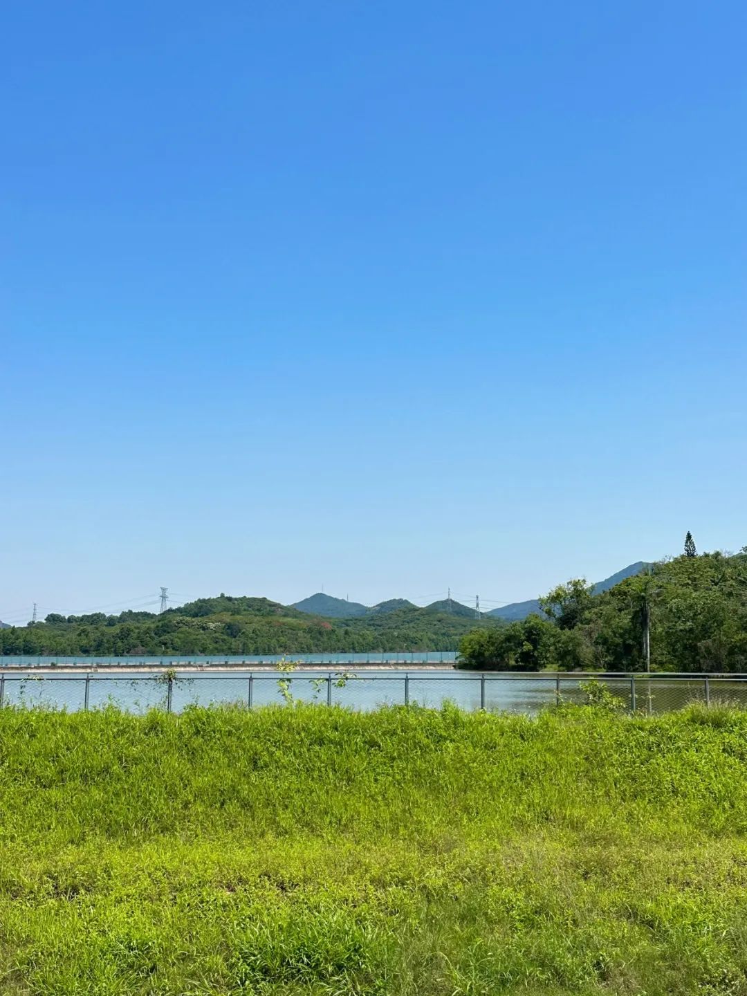 Xili Lake Greenway, The most worthwhile short greenway in summer