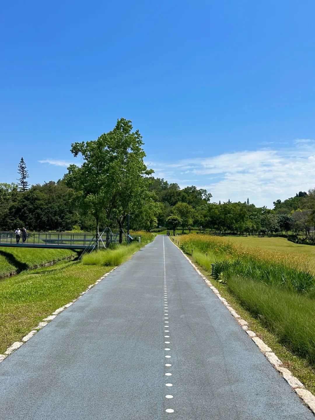 Xili Lake Greenway, The most worthwhile short greenway in summer