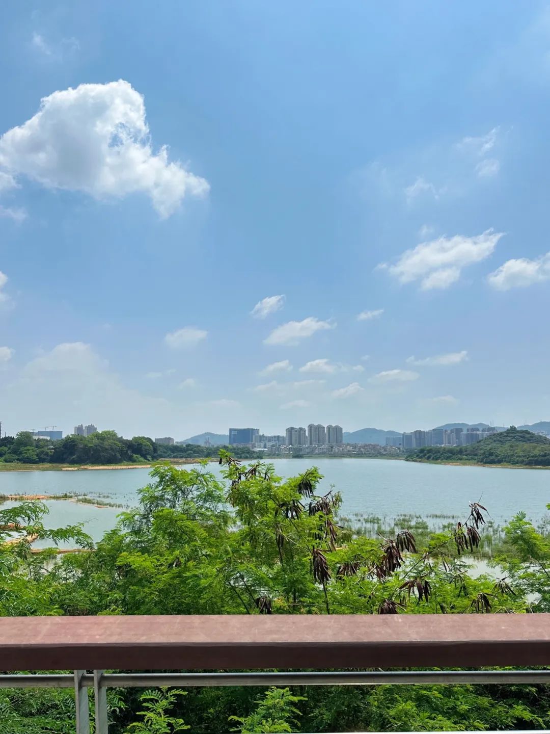  Go, together across the Shenzhen version of the small West Lake - around the Lixin Lake Greenway