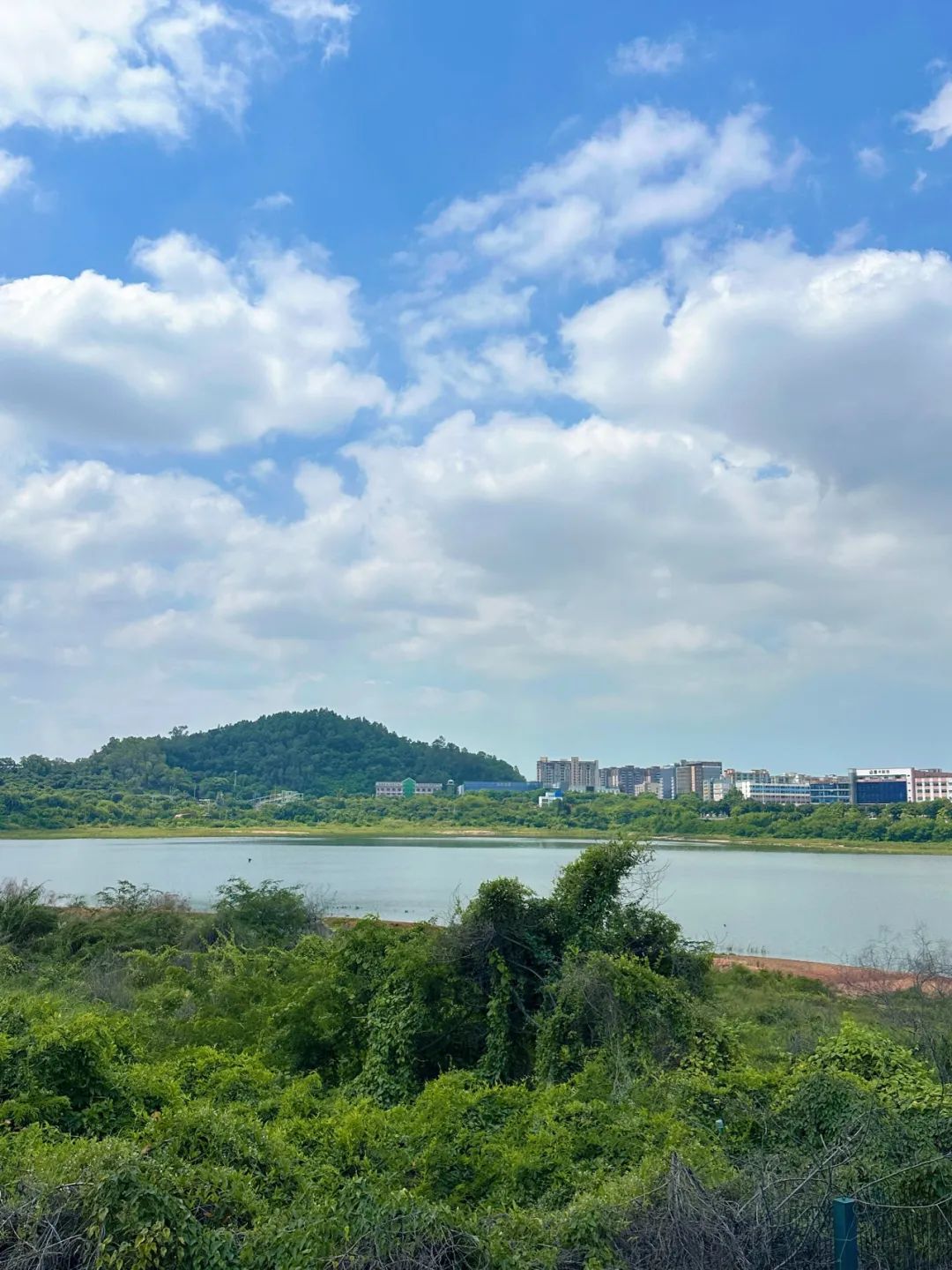 the Shenzhen version of the small West Lake - Lixin Lake Greenway