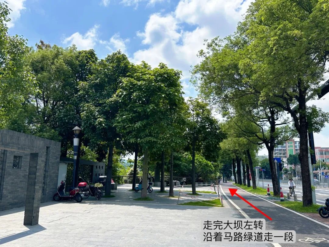 the Shenzhen version of the small West Lake - Lixin Lake Greenway