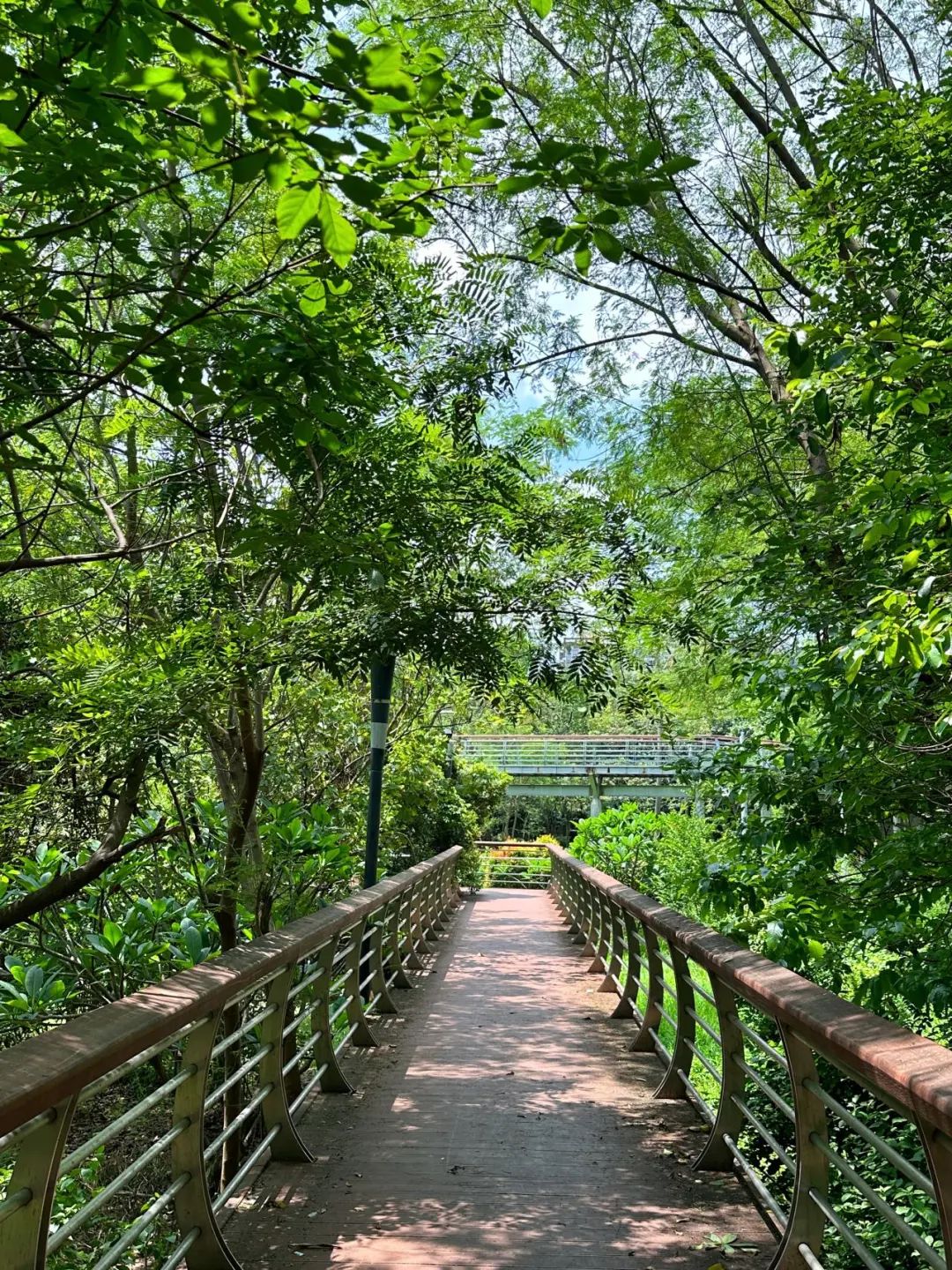 the Shenzhen version of the small West Lake - Lixin Lake Greenway