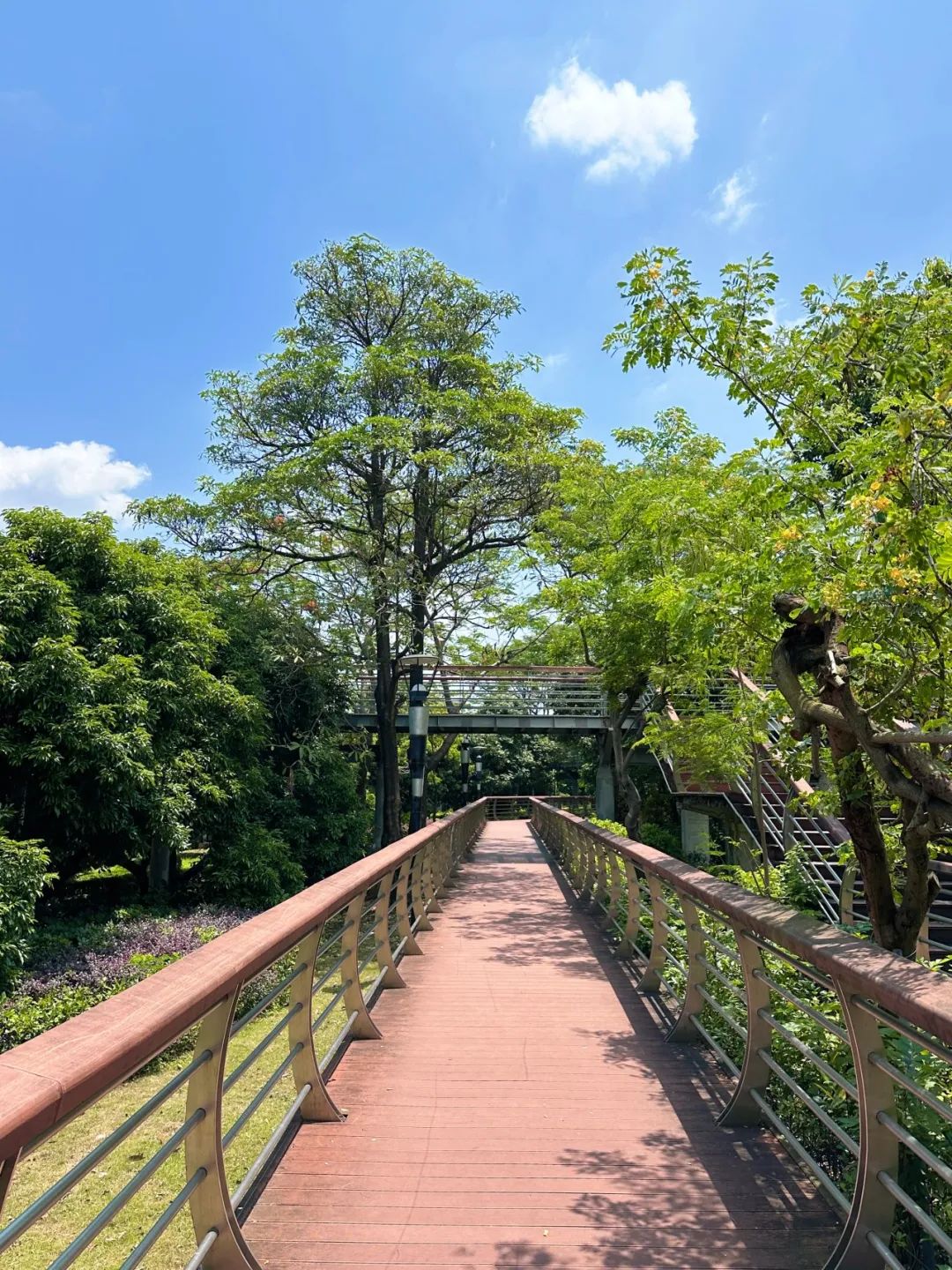 the Shenzhen version of the small West Lake - Lixin Lake Greenway