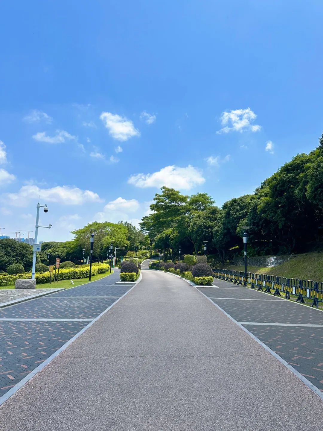 the Shenzhen version of the small West Lake - Lixin Lake Greenway