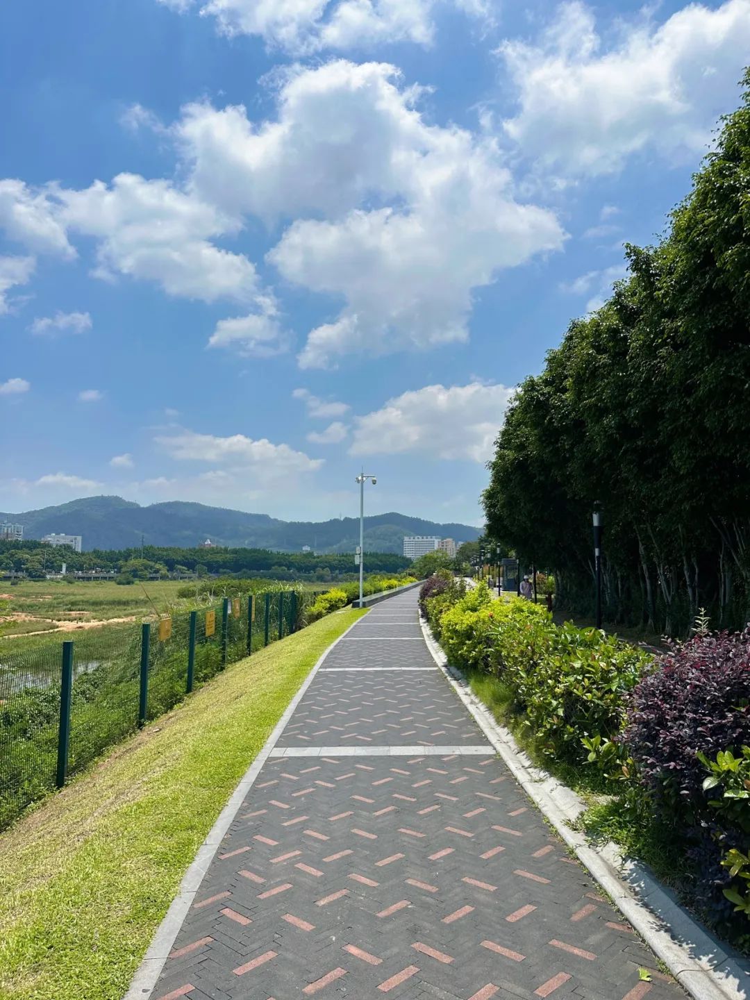 the Shenzhen version of the small West Lake - Lixin Lake Greenway