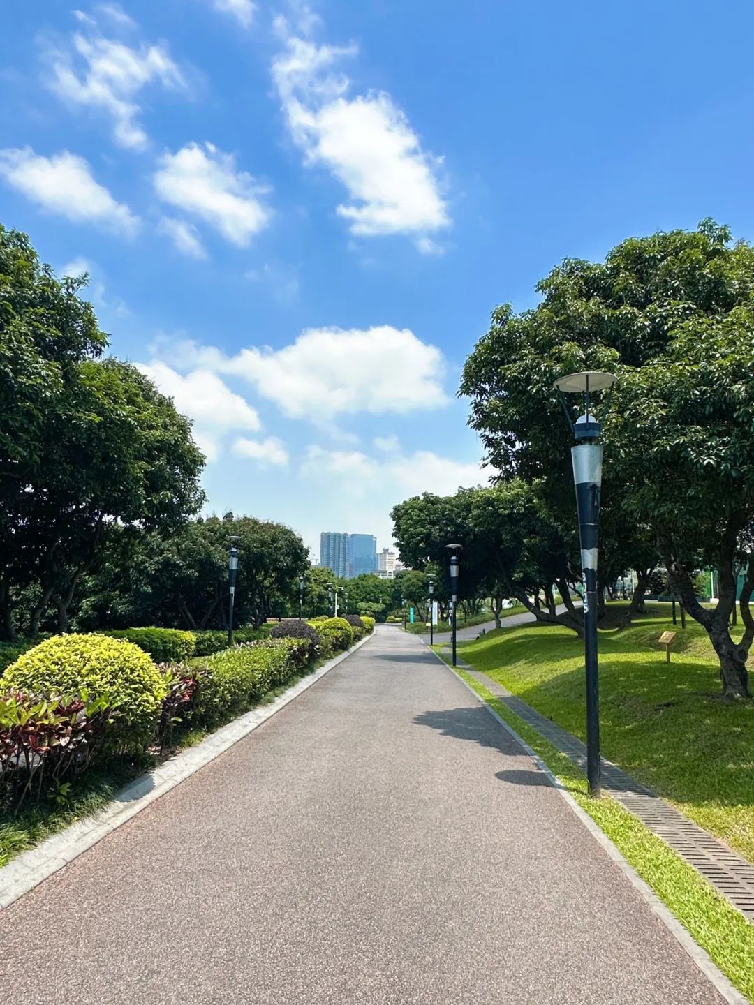 the Shenzhen version of the small West Lake - Lixin Lake Greenway