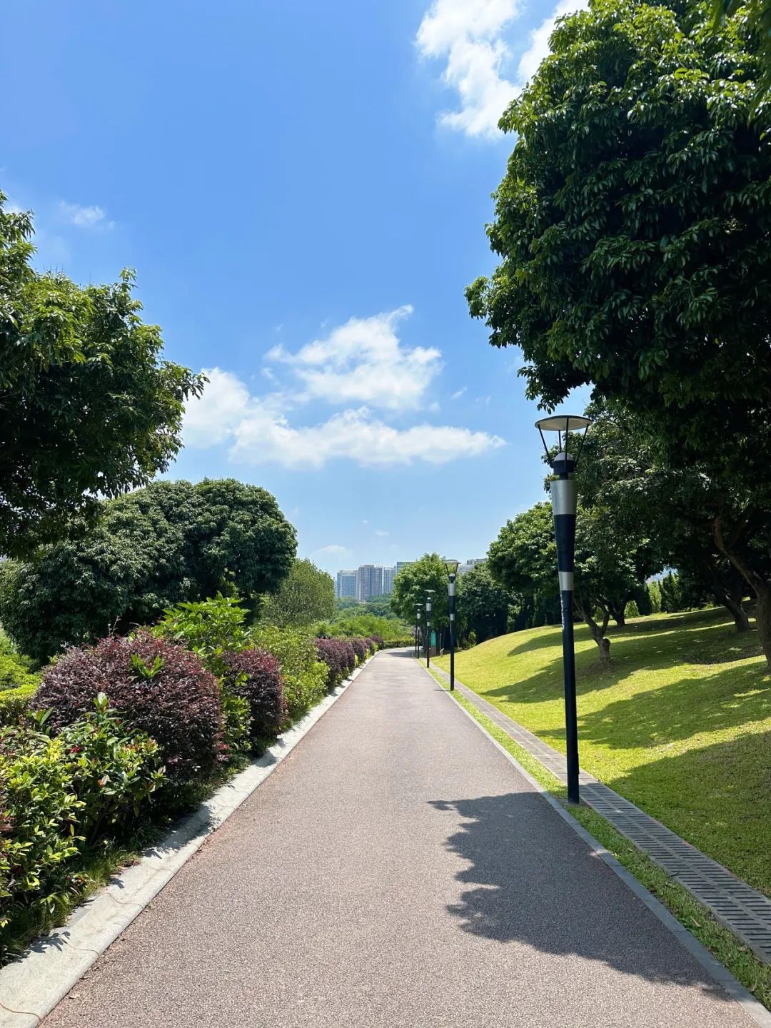 the Shenzhen version of the small West Lake - Lixin Lake Greenway