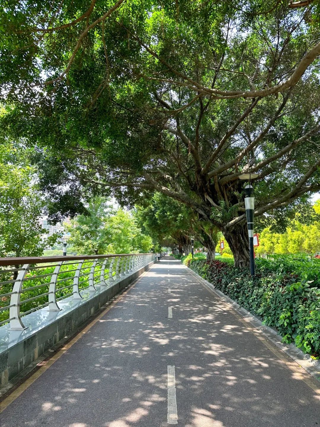 the Shenzhen version of the small West Lake - Lixin Lake Greenway