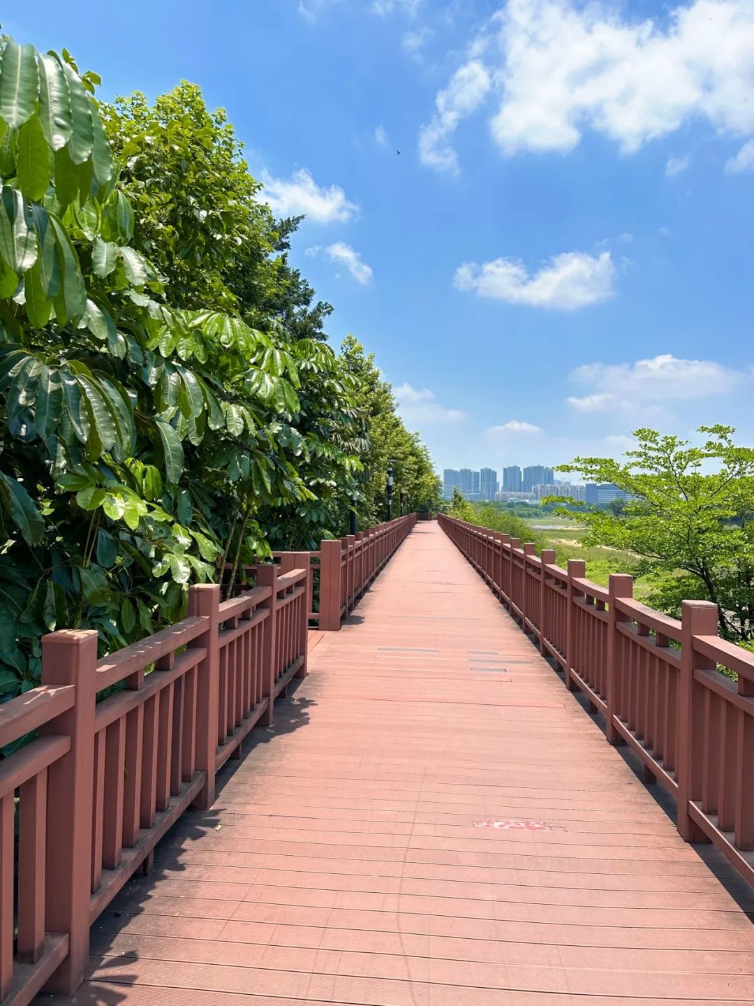 the Shenzhen version of the small West Lake - Lixin Lake Greenway