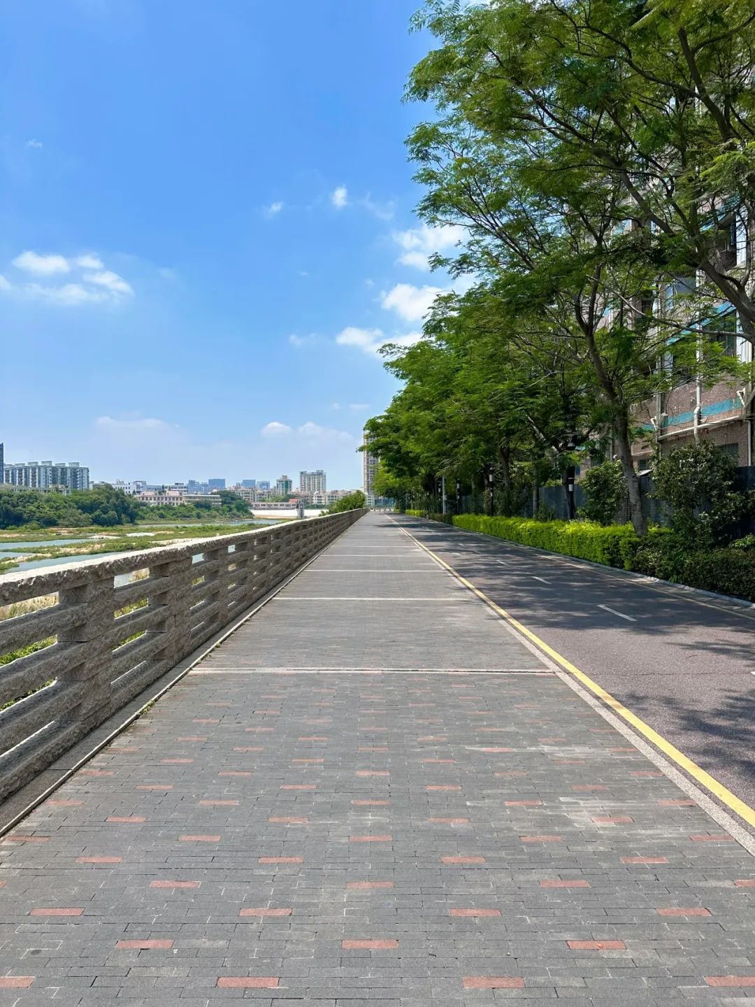 the Shenzhen version of the small West Lake - Lixin Lake Greenway