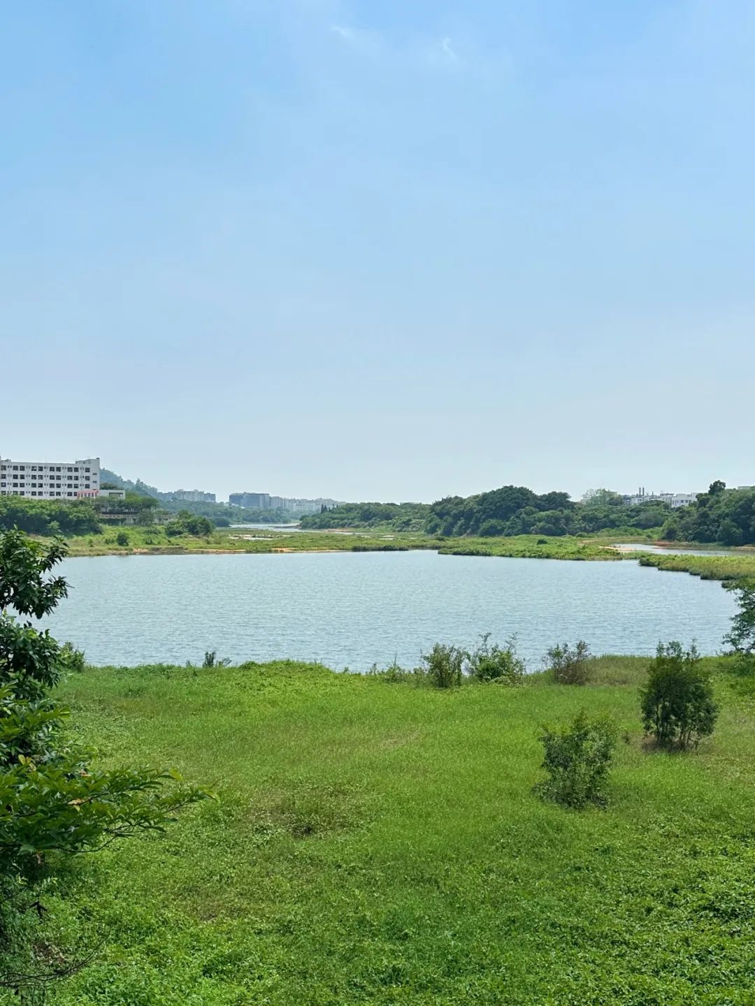 the Shenzhen version of the small West Lake - Lixin Lake Greenway