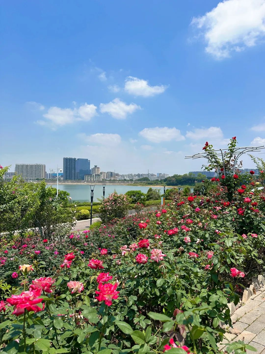 the Shenzhen version of the small West Lake - Lixin Lake Greenway