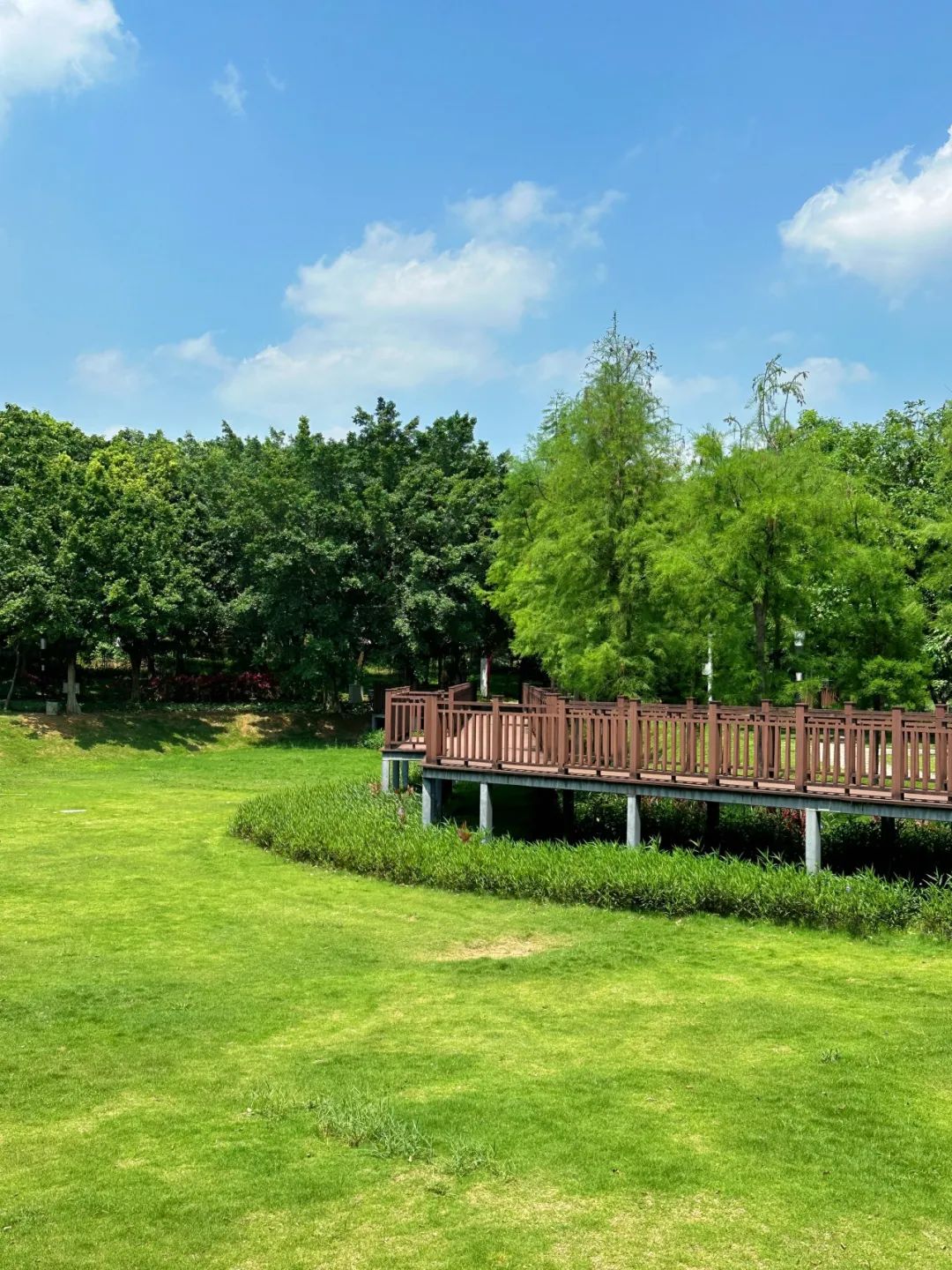 the Shenzhen version of the small West Lake - Lixin Lake Greenway