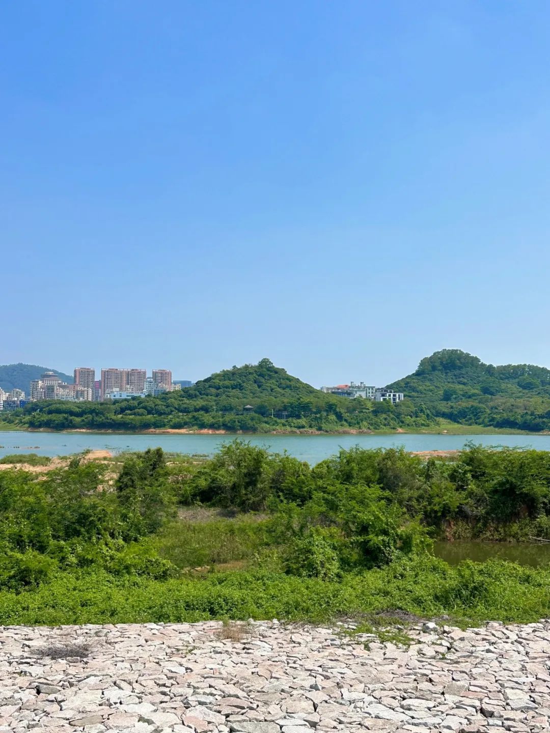 the Shenzhen version of the small West Lake - Lixin Lake Greenway