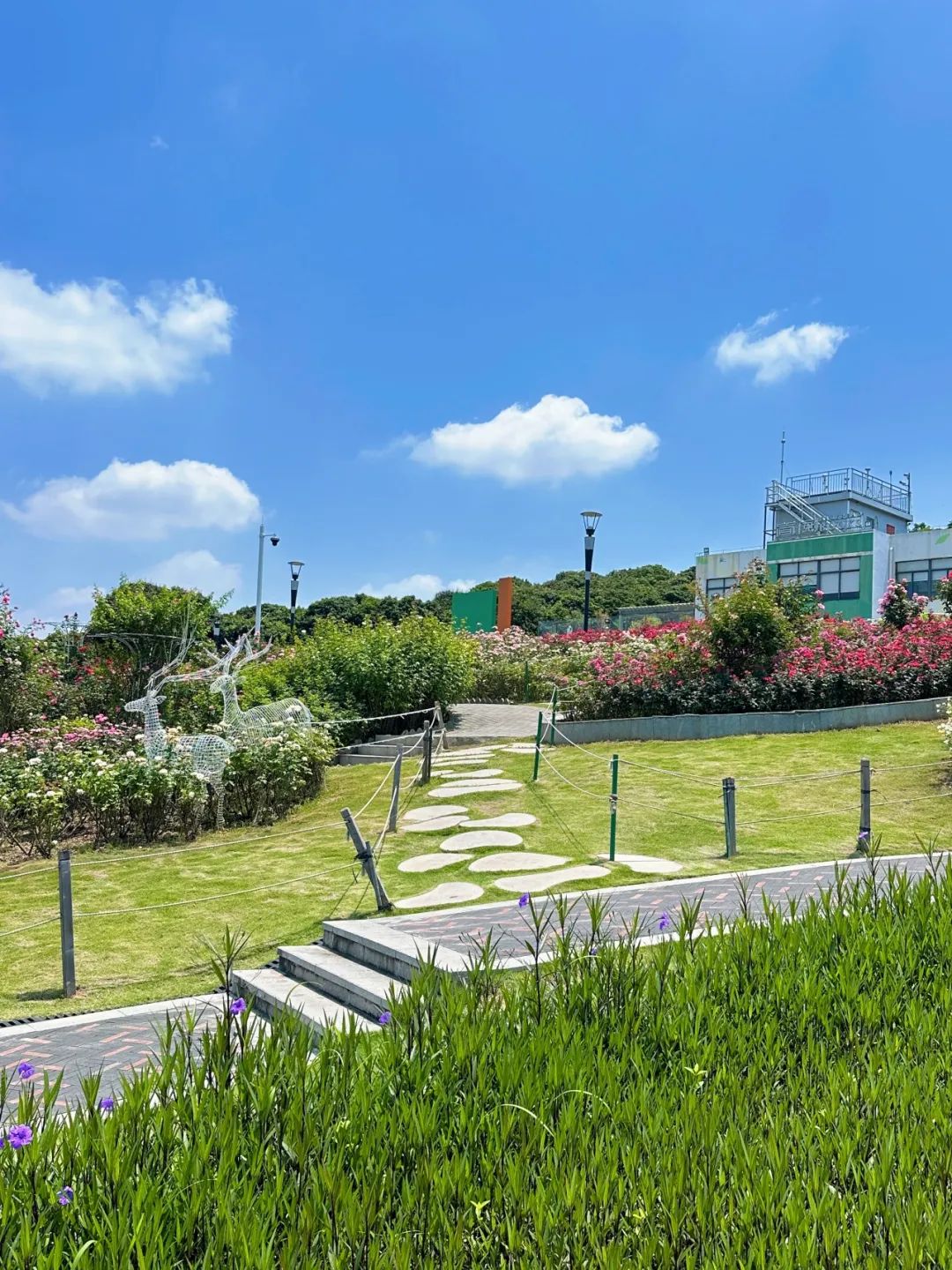 the Shenzhen version of the small West Lake - Lixin Lake Greenway